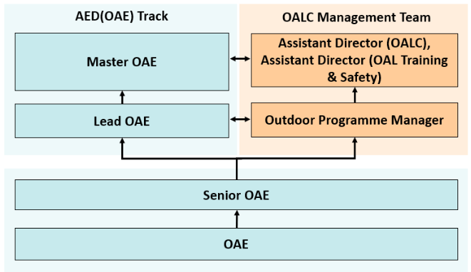 Career Pathway For OAEs