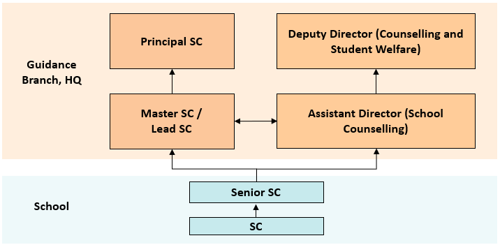 School counsellor progression pathway