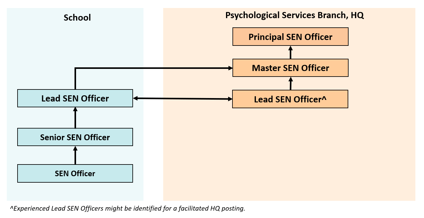 SEN officer progression pathways