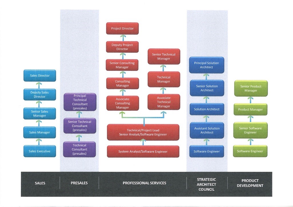 Potential career path